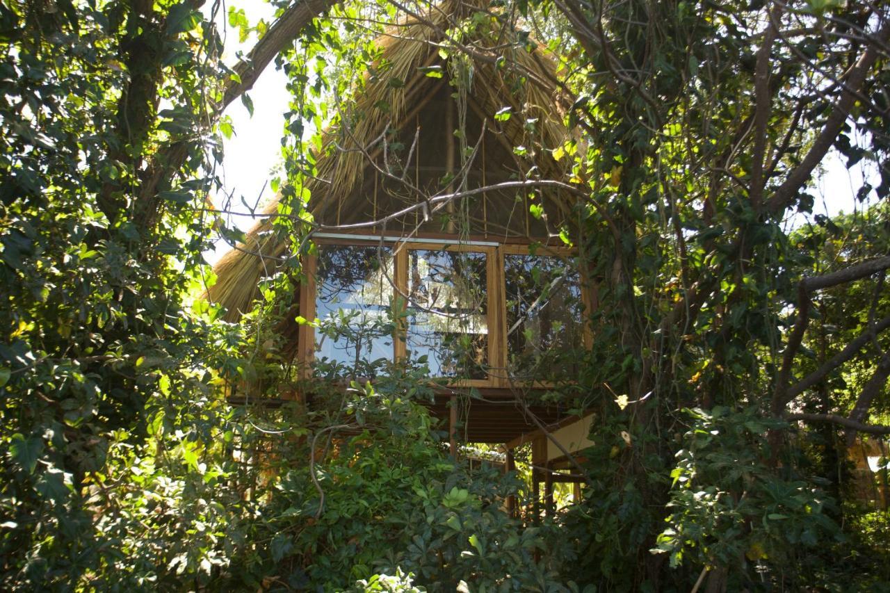 El Pital, Chocolate Paradise Balgue Buitenkant foto